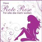 Rote Rose Messel